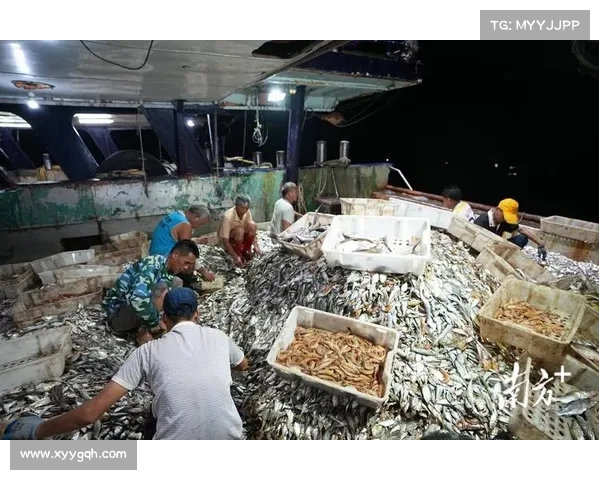 渔获满筐,酒意正浓:与傻鱼们的欢乐时光 渔获满筐,酒意正浓:与傻鱼们的欢乐时光