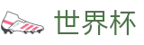 世界杯官网 - 开启数字化观赛新纪元，打造沉浸式足球狂欢